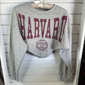 Harvard Gray Crop Sweatshirt